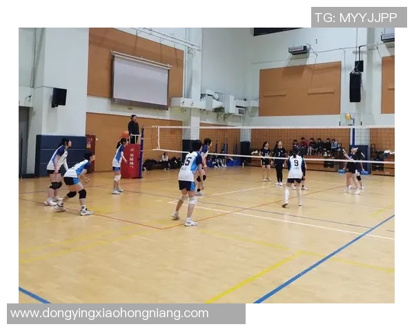 赛后分析：上海排球队与成都排球队在比赛中的灵活性对比探讨