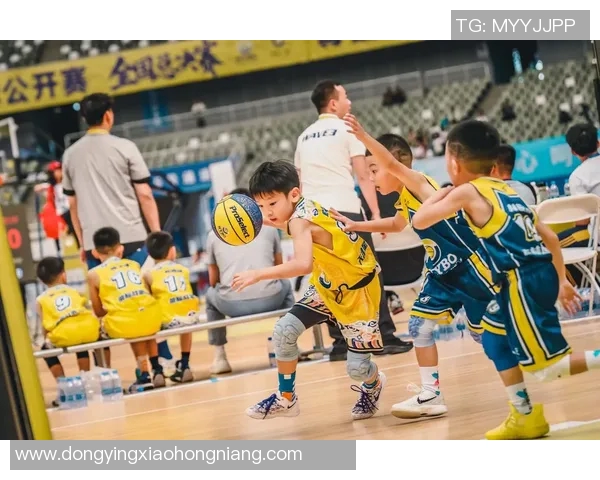 陈秀英的篮球人生深度对话:从球场到人生的启示与成长之路