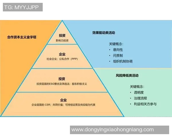 广州网球队如何通过运营革新提升竞技水平与市场影响力的深度探讨